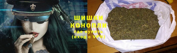 ГАЛЛЮЦИНОГЕННЫЕ ГРИБЫ Богданович