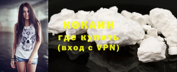 apvp Богородицк