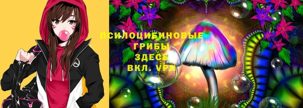 ГАЛЛЮЦИНОГЕННЫЕ ГРИБЫ Богданович
